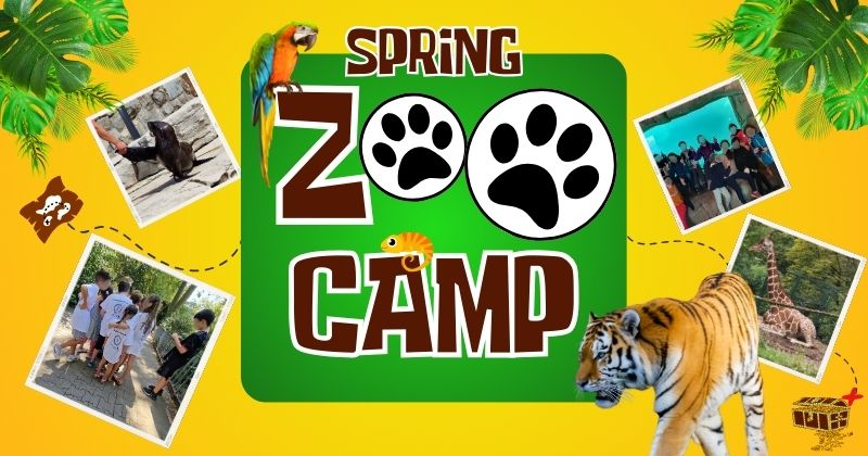 English Zoo Camp