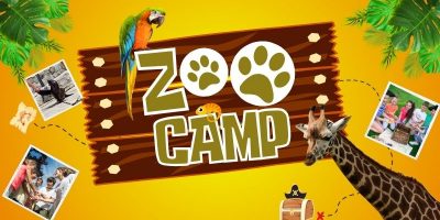 Zoo Sommercamp in Frankfurt 2024